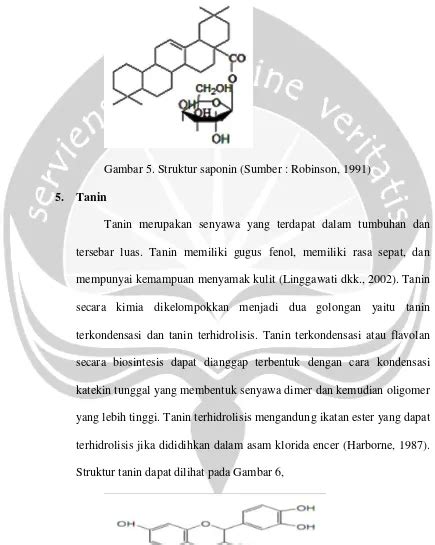 II TINJAUAN PUSTAKA AKTIVITAS ANTIBAKTERI EKSTRAK DAUN NAMNAM