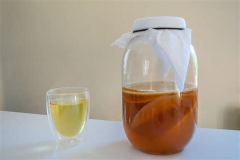 What is Kombucha?