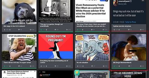 Dear Imgur If Youre Going To Start Banning Art For Partial Non