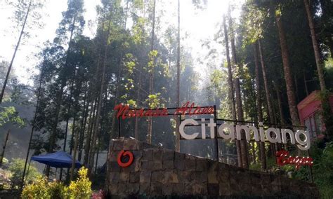 Tempat Camping di Puncak, 11 pilihan terfavorit