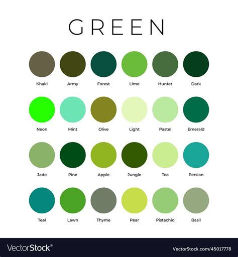 Green color shades swatches palette with names vector image on ...