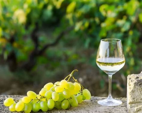 Vinho Branco E Tipos De Uvas