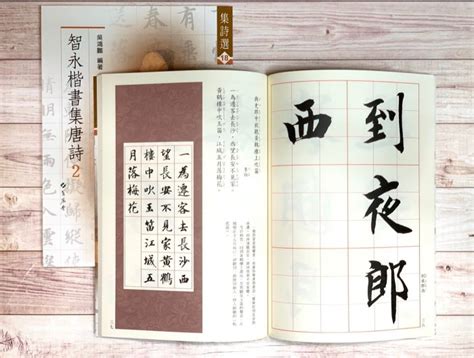 正大筆莊~《集詩選18 智永楷書集唐詩 2 》書法 字帖 集詩選系列 蕙風堂 智永 楷書 唐詩 Yahoo奇摩拍賣