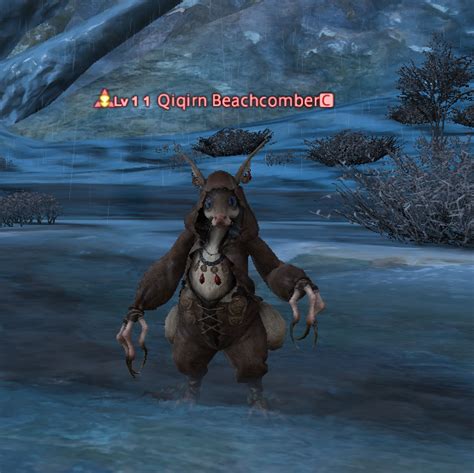 Qiqirn Beachcomber Gamer Escape S Final Fantasy XIV FFXIV FF14 Wiki