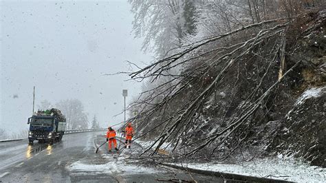 Autos gegen Bäume Wintereinbruch in Tirol Unfälle fordern Verletzte