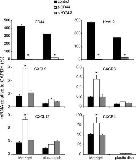 TIME cells transfected with scrambled control siRNA or siRNA against ... 