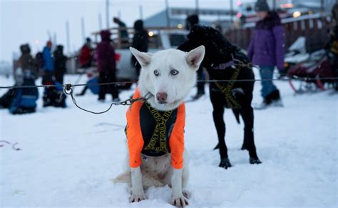 Slideshow: Kuskokwim 300 start