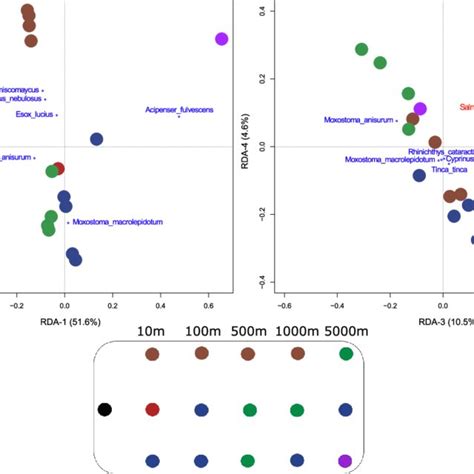 Biplots Of Redundancy Analyses Representing The Four RDA Axes Left