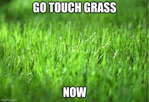 Go Touch Grass Now Imgflip