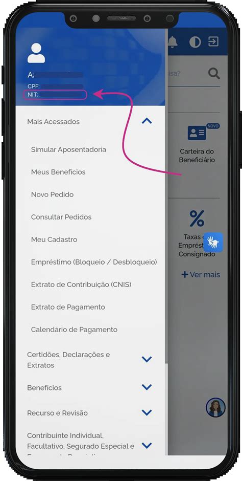 CPF Para Consultar O Saldo No Seu PIS No Meu INSS Como Consultar