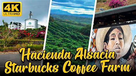 Hacienda Alsacia Starbucks Coffee Farm Costa Rica Youtube