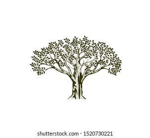 Mangrove Tree Vector Silhouette Black White Stock Vector (Royalty Free ...