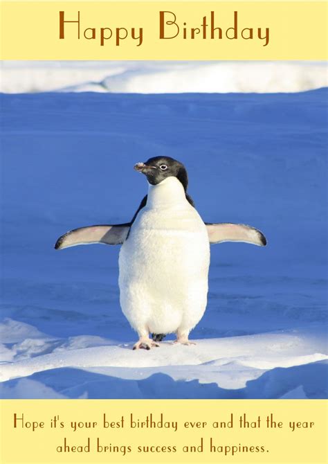 Penguin Saying Happy Birthday