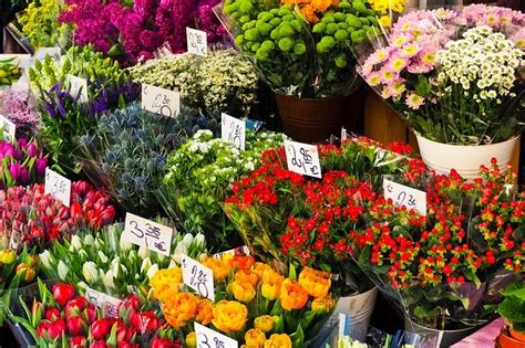 Come Aprire Un Negozio Di Fiori In Franchising