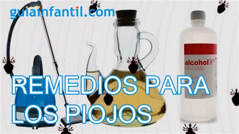 Introducir Imagen Recetas Caseras Para La Pediculosis Abzlocal Mx