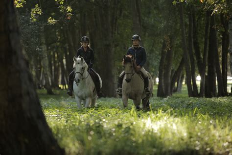 Balade en forêt Haras de La Cense Yvelines 78