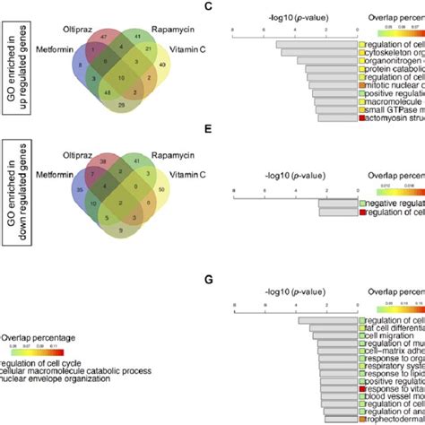 Transcriptomics Characterization Of Drug Induced BM HMSCs A 1758