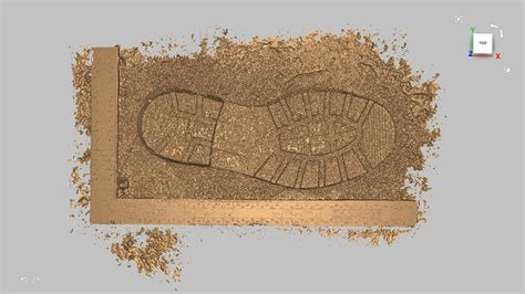 3d Documentation Of Footwear Impressions At Crime Scenes In Minutes No Contact Artec 3d