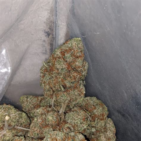 Buy Bulk Lemon Drop Strain Cheap Weed Pounds Reviews