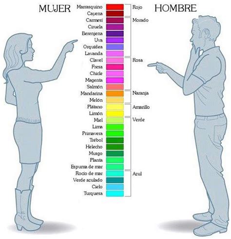 Sabes por qué los hombres no distinguen tantos colores como las