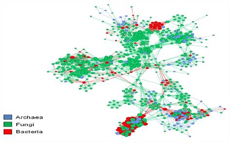 Frontiers The Nexus Between Plant And Plant Microbiome Revelation Of