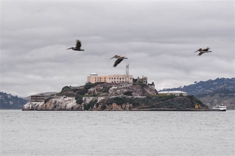 34+ Best Free Alcatraz Stock Photos & Images · 100% Royalty-Free HD ...