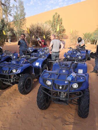 Desert Camel Tours Merzouga All You Need To Know