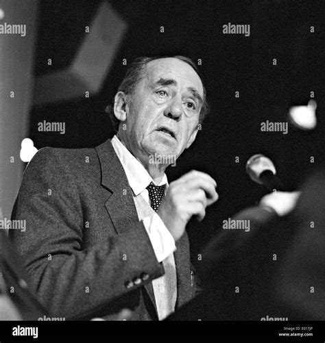 Heinrich Böll 1983 Stockfotografie Alamy