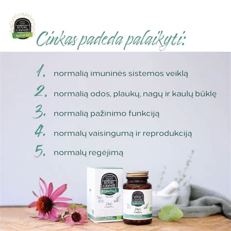 Royal Green BIO Cinko kompleksas 60 vkaps 100 ekologiškas Cinkas