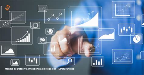 Manejo De Datos Vs Inteligencia De Negocios StratBranding