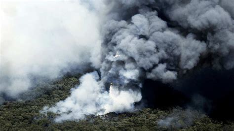 What To Do About The Health Impact Of Bushfire Smoke Sbs News