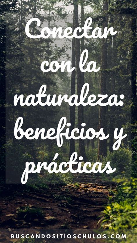 Conectar con la naturaleza beneficios físicos psicológicos y