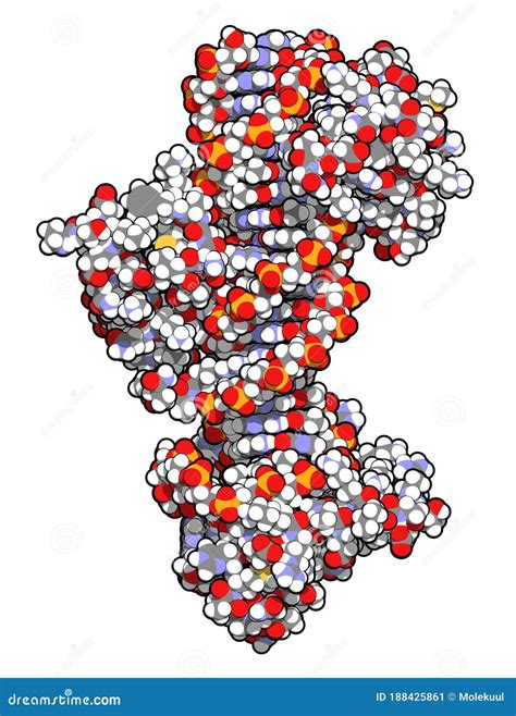 Sex Determining Region Y Sry Tdf Hmg Domain Protein Bound To Dna Protein Involved In Male