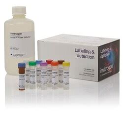 Quant IT RNA Assay Kits And Quant IT RNA HS Reagent