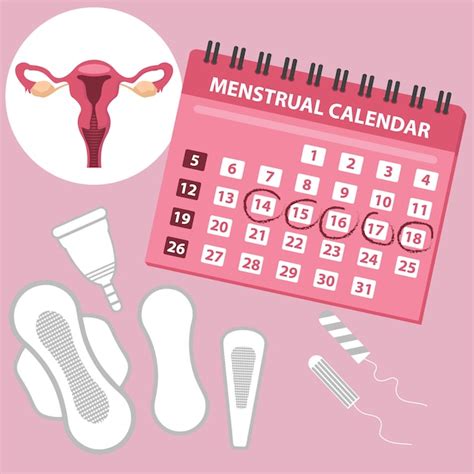 Premium Vector Menstruation Calendar