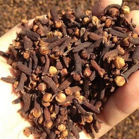 Brown Whole Cloves Packaging Size Kg At Rs Kg In Chennai Id