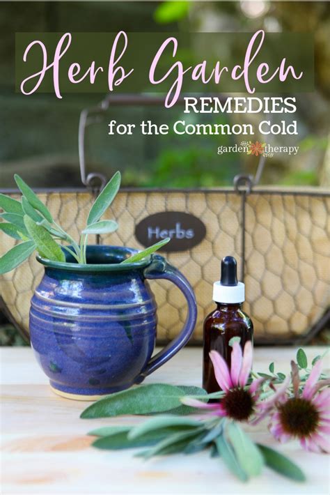 Natural & Homemade Herbal Common Cold Remedies - Garden Therapy