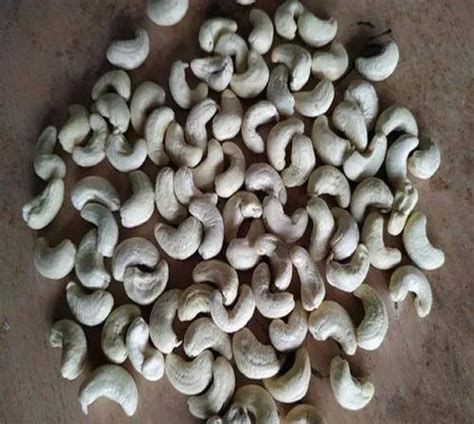 Ivory W240 Raw Cashew Nuts At Rs 670 Kg In Panruti ID 25130434273