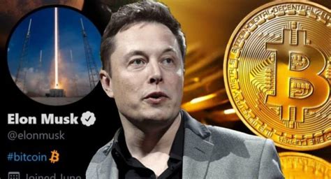 Bitcoin Tesla Compra Mais De Mil Milh Es De Euros E Criptomoeda