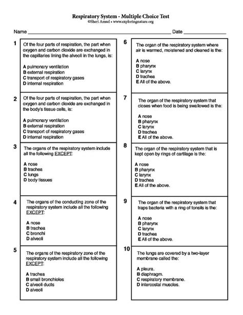 Respiratory System Multiple Choice