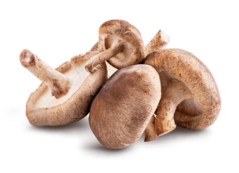 Todo Lo Que Necesitas Saber Sobre La Seta Shiitake Aparte De Su Sabor