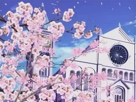 Cherry Blossom Festival! OHSHC | Anime Amino