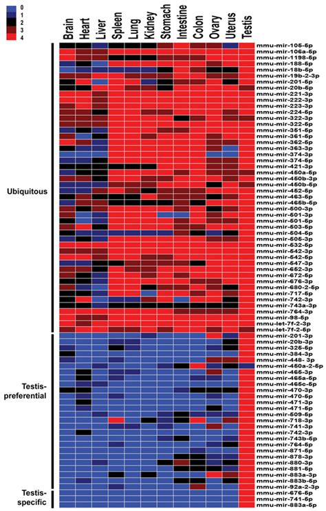 Many X Linked Micrornas Escape Meiotic Sex Chromosome Inactivation