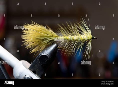 Lure Fly Fishing Hi Res Stock Photography And Images Alamy