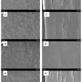 Sem Images Of The Surface And Cross Sections Of Neat Rc Film And