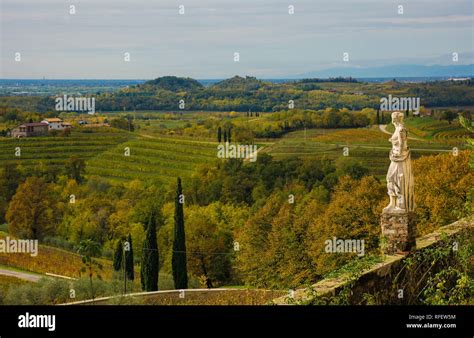 The Autumn Landscape In The Collio Vineyard Area Of Friuli Venezia