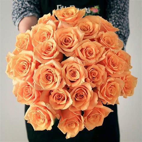 Bulk Flowers Fresh Peach Roses Oriental Trading