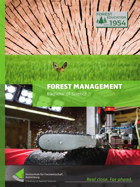 BSc-FOREST-MANAGEMENT ROTTENBURG UNIVERSITY GERMANY | PDF | Forestry ...