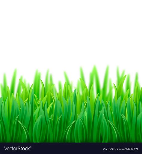 Realistic Fresh Spring Green Grass Field Vector Image