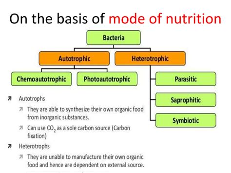 Bacterial Classificationpptx